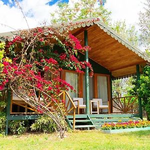 Etenna Beach Bungalows